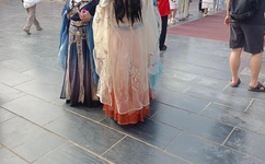 仙踪林最新视频欢迎您在线观看